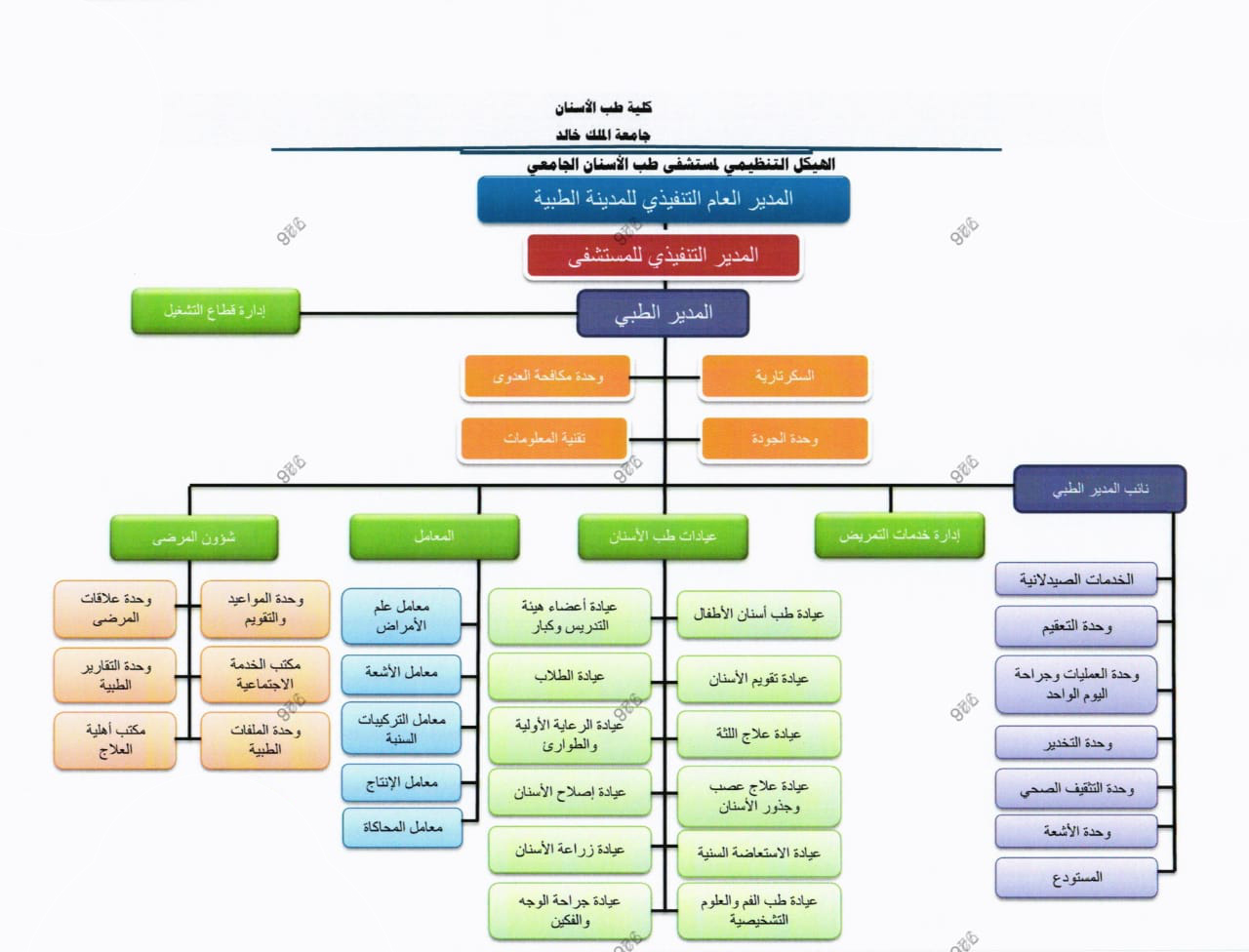 Administrative Structure