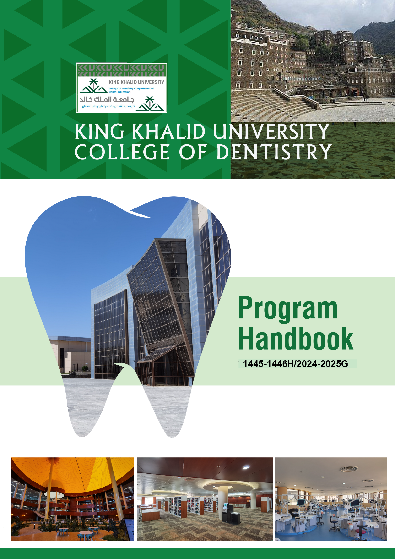 Program handbook